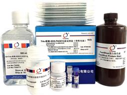 Tris-醋酸-SDS-PAGE電泳試劑盒（變性電泳，含預(yù)制膠）