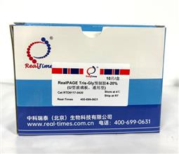 4-20%RealPAGE Tris-Glycine預制膠（塑料板）11孔