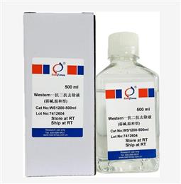 Western一抗二抗去除液（弱堿，溫和型）